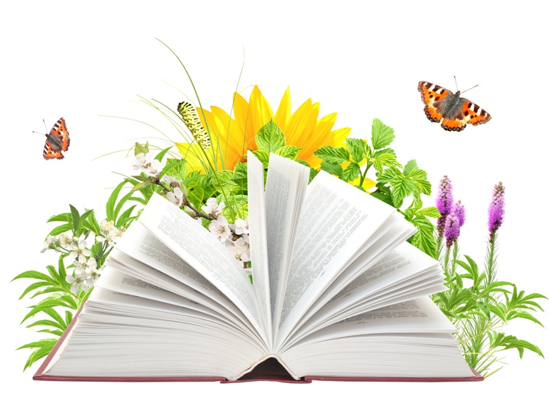 Летнее книжное меню для школьников.