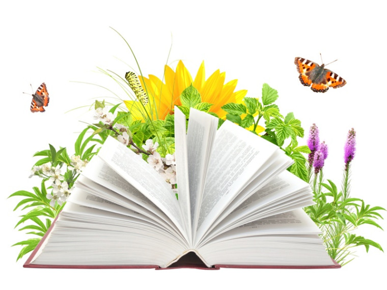 Летнее книжное меню для школьников.